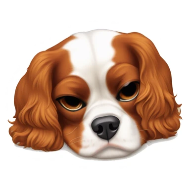 Cavalier King Charles spaniel sleeping on back sticker