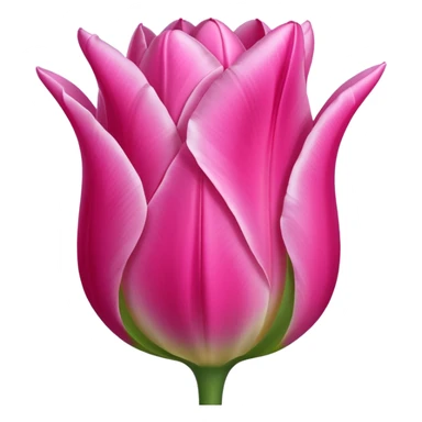 Pink tulip sticker