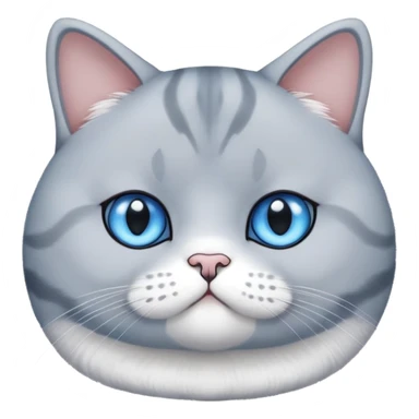 British shorthair blue and white cat with round face and plush fur sticker