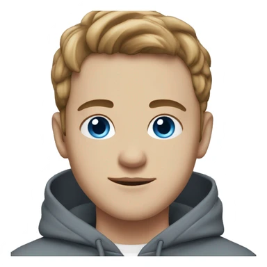 young man with light brown middle part, blue eyes, white skin and a grey hoodie sticker