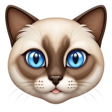 siamese cat with blue eyes sticker