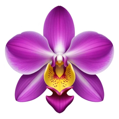 Orchid flower sticker
