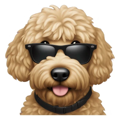 Black golden doodle in black sunglasses  sticker