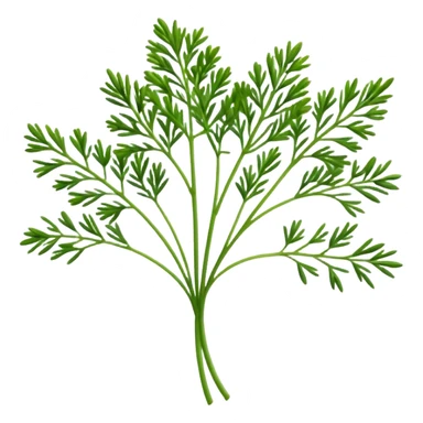 Dill sticker