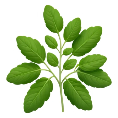 small sprig of fresh oregano with oval slightly fuzzy green leaves on thin tender stems, leaves clustered and layered with subtle natural curves and soft midrib veins, color ranges from vibrant to muted green, no pot scissors or extras, apple emoji style, soft lighting, subtle shadows, emoji scale sticker