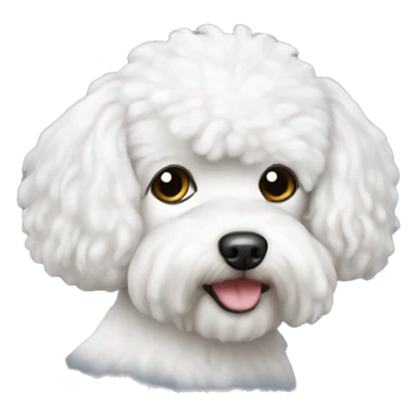Bichon maltais sticker