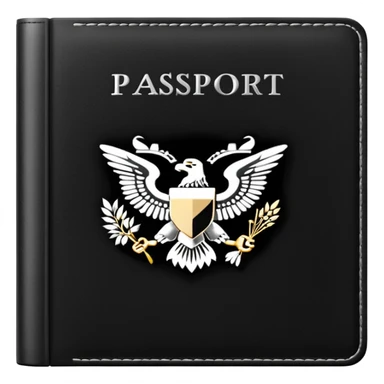 black passport with minimal silver details sticker