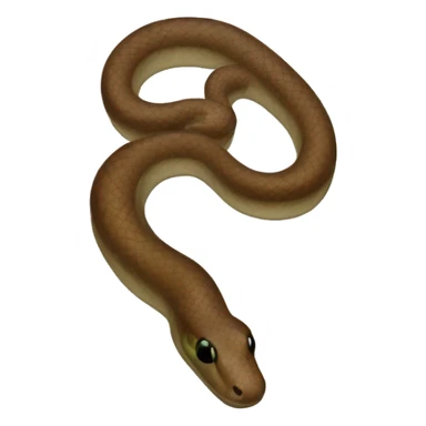 Common Blind Snake  sticker