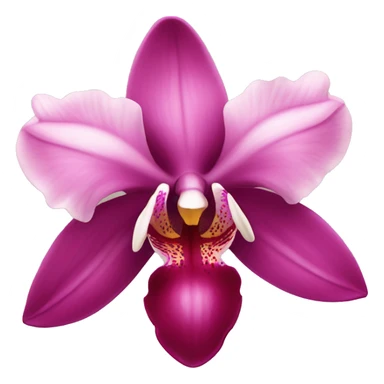 Burgundy and pink orchid sticker