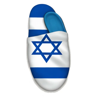 a slipper on the israeli flag sticker