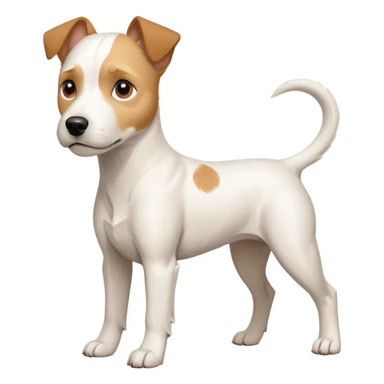 a full body buff white parson russell terrier looking dog the size of a kelpie with light brown long ears and a light brown patch on one eye and a large snout. the rest of the dog is completely white. forward facing sticker