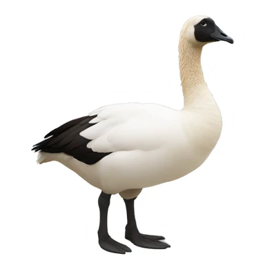 Goose for the lower body and llama top half of the body and head sticker