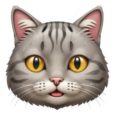 Gato llorando  sticker