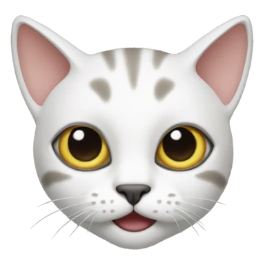 cat whit an hah  sticker