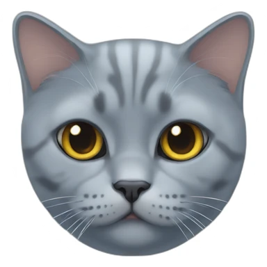 blue british shorthair cat face sticker