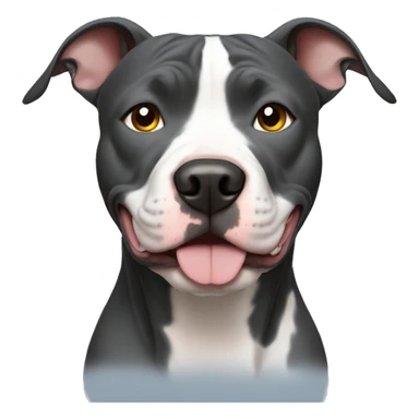 Blue nose pitbull sticker