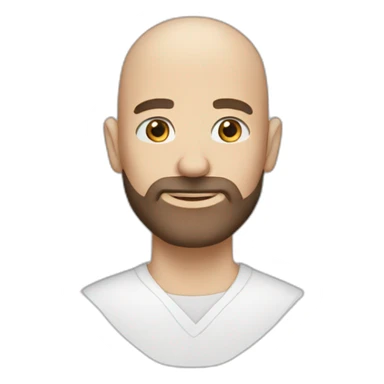 bald-man-with-brown-beard-blue-eyes sticker