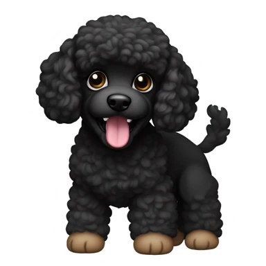 Small poodle mix. All black in color everywhere. No other color. Underbite with teeth showing  sticker