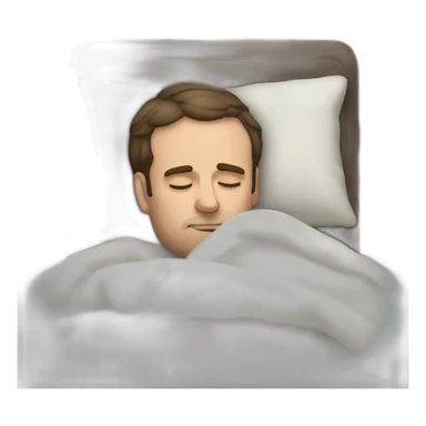 macron sleeping sticker