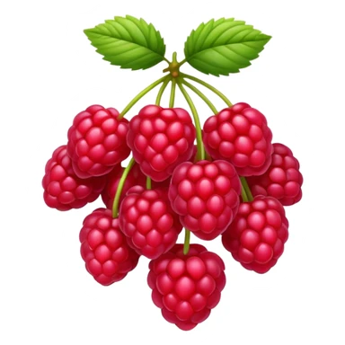 raspberry cluster sticker