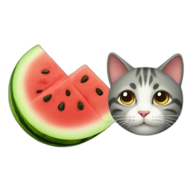 left face cat, right face watermelon sticker