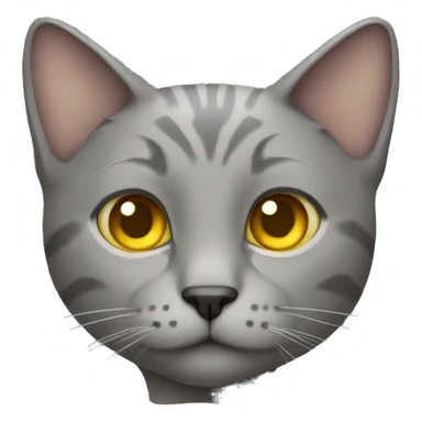 gray fold-eared cat with yellow eyes sticker