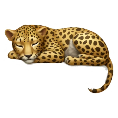 Leopard sleeps sticker