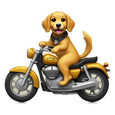 Golden retriever riding motorcycle  sticker