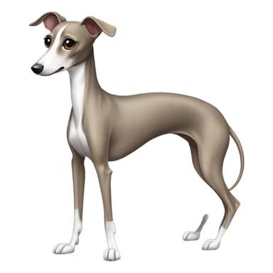 Italian greyhound evening gown  sticker