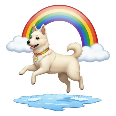 White belgian Shepard jumping over Rain puddles. There is a rainbow in the sky sticker