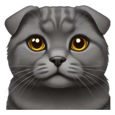 Black Scottish fold cat sticker
