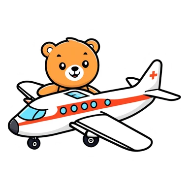 Airplane with bear sticker