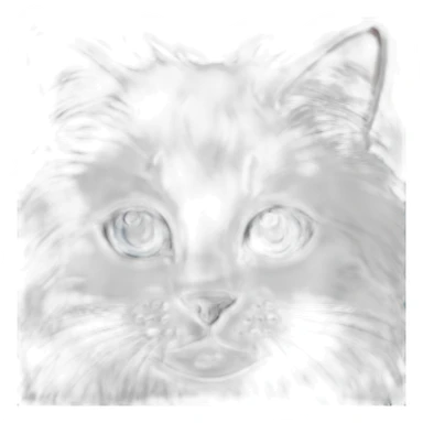 White and grey cat with long fluff with blue eyes sticker