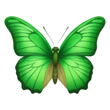 green Butterfly  sticker