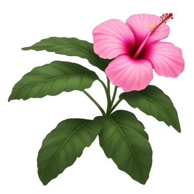 a pink hibiscus flower sticker