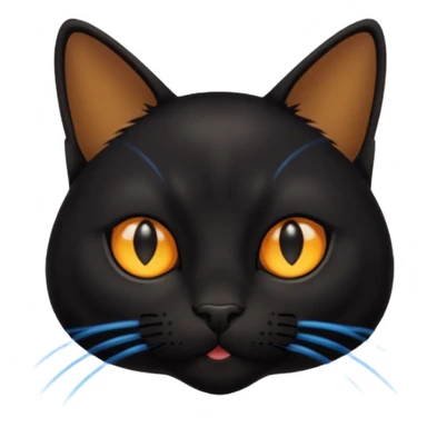 Black cat playing with a laser sticker