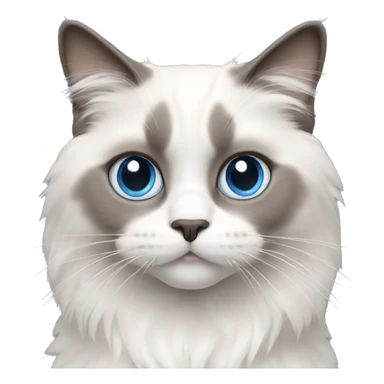 Ragdoll cat, white with gray upper face part and blue eyes sticker