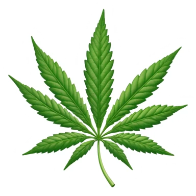 High stoned marijuana leaf sticker