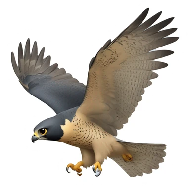 peregrine falcon flying sticker