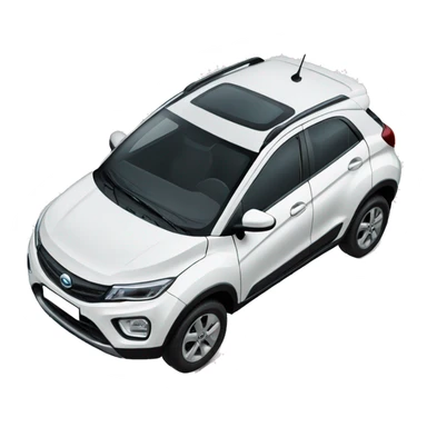 Tata nexon white car sticker