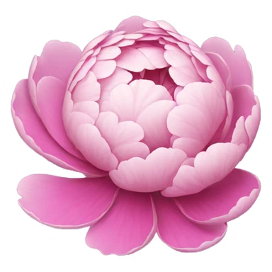 peonie sticker
