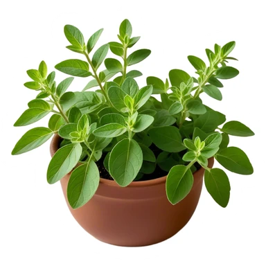 Cinematic Realistic Oregano Emoji, Bold and aromatic, with dark green leaves that radiate flavor and warmth. The plant’s rounded leaves create a lush, hearty growth, while the distinct scent invites comfort and coziness. Soft glowing outline, capturing the essence of bold flavor and herbal richness in a sprig of oregano! sticker