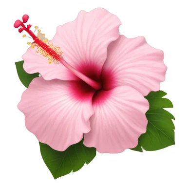 Light Pink hibiscus  sticker