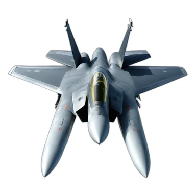 F 14 sticker