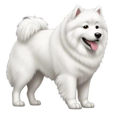 Samoyed full body sticker