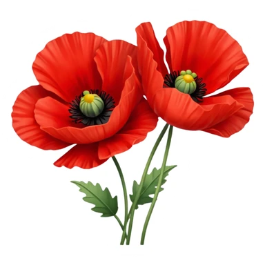 Red poppy sticker
