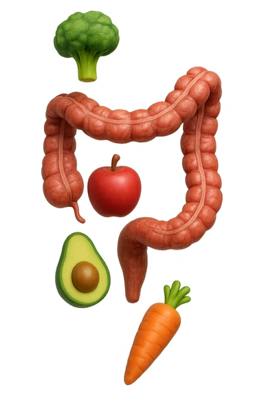 emoji stile iphone in 3d di cibo sano che fluttua in aria vericalmente insieme a pezzi di colon umano anatomico, iperrealistico 4k sticker