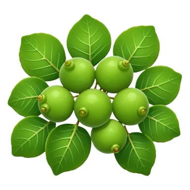 sea grape which is green looking like a grape. but way more tiny ones sticker