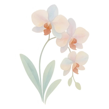 orchid with stem and leaves, luminous colors, gentle blending, realistic botanical illustration, watercolor art style sticker