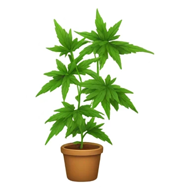 Weed plant sticker